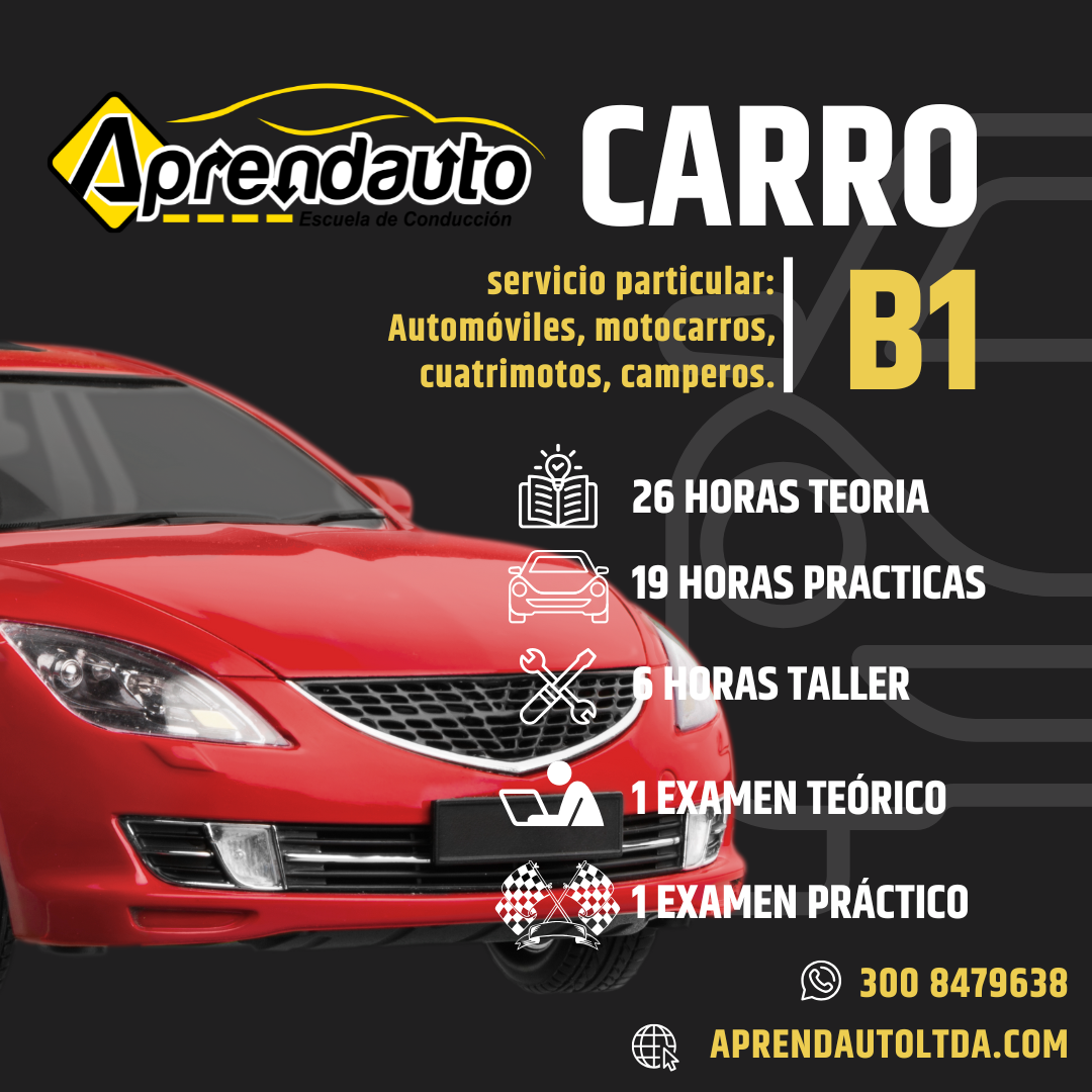 Curso Carro B1